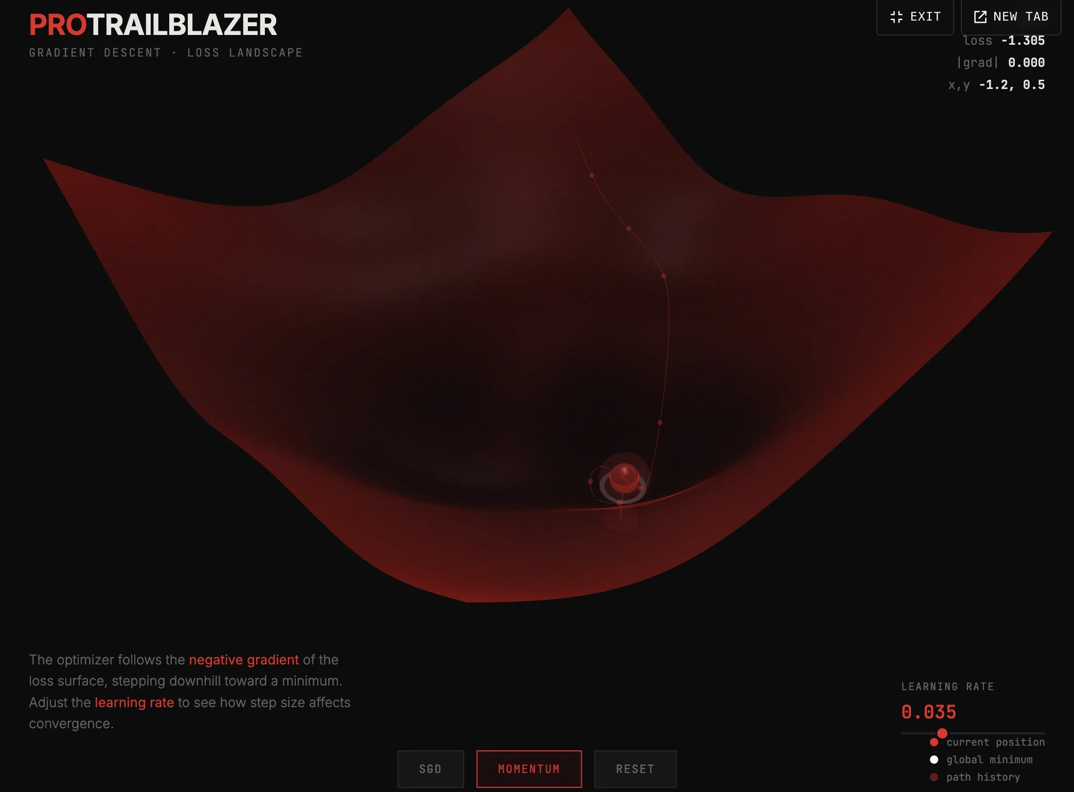 3D loss landscape shown as a deep red saddle-shaped surface, with a red ball near the bottom of the valley and a dashed path showing the optimizer's descent from the top.
